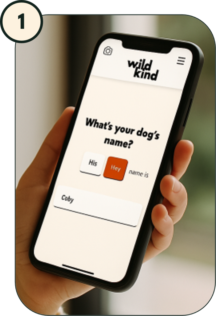 Tell us about your dog through a short quiz